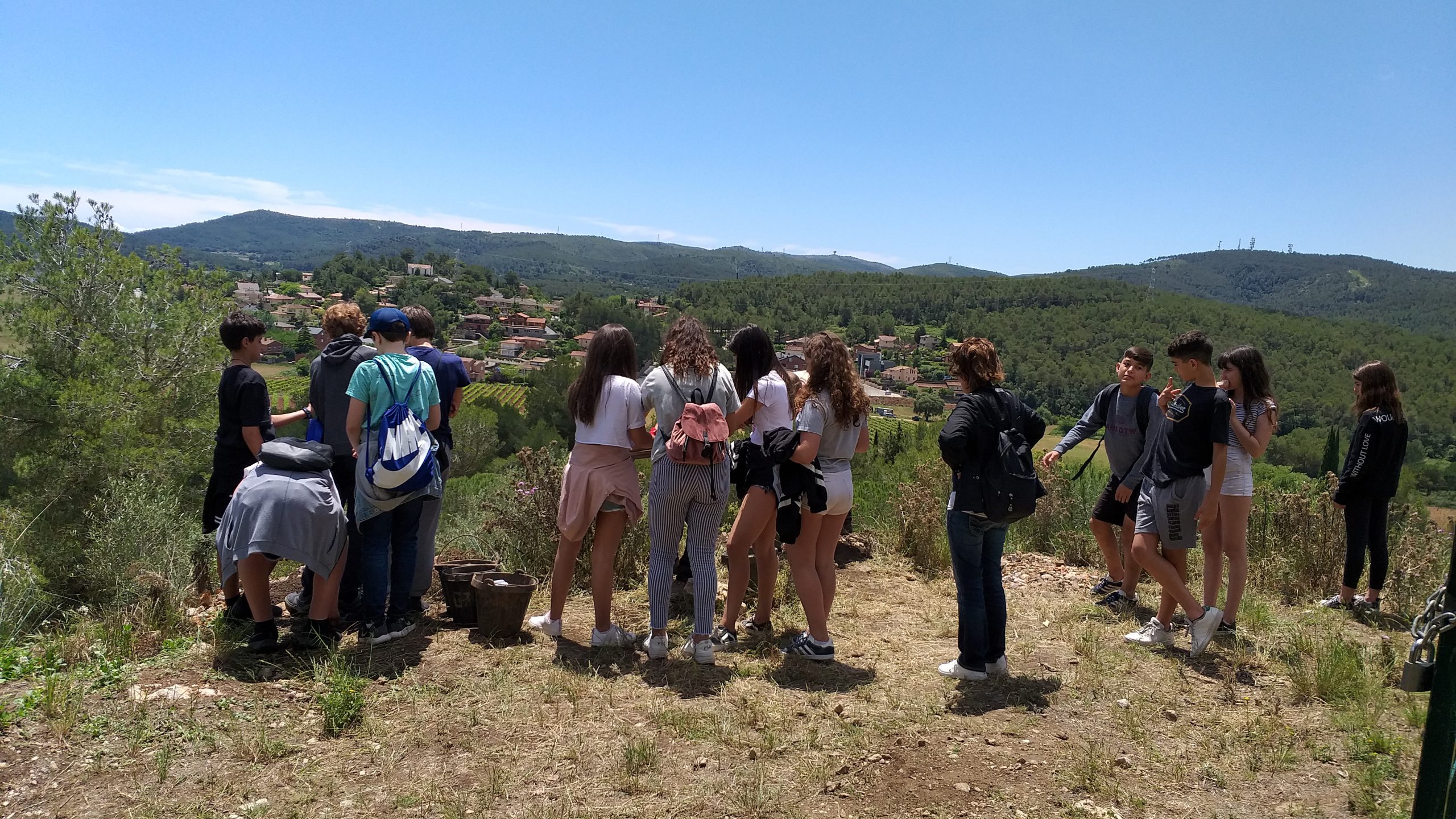 10- la vegetació a la prehistòria 1