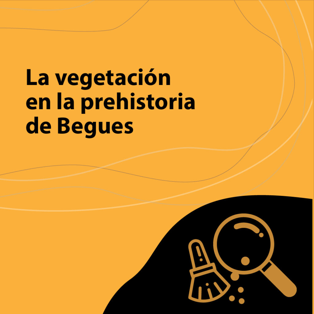 PÚBLICO ESCOLAR- Primaria (Ciclo Superior)- SecundariaDuración: 1h.